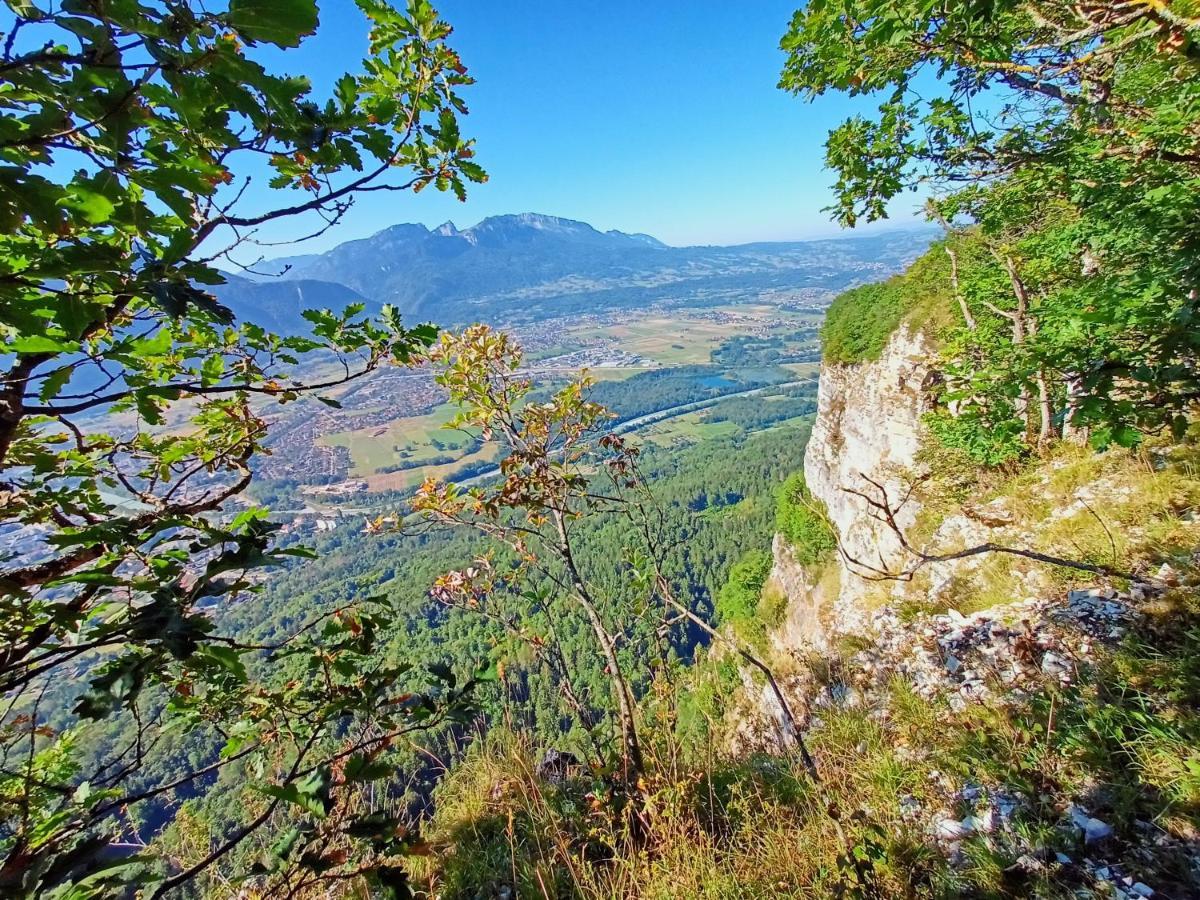Le Calme A 5 Mn Du Centre Ville - La Lisiere T2 博讷维尔 外观 照片
